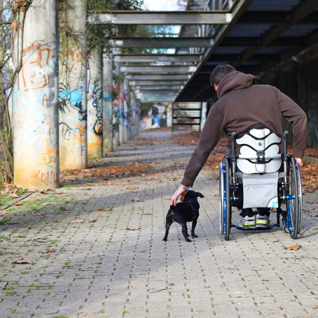 Tarta Design Emys Wheelchair Backrest Recare