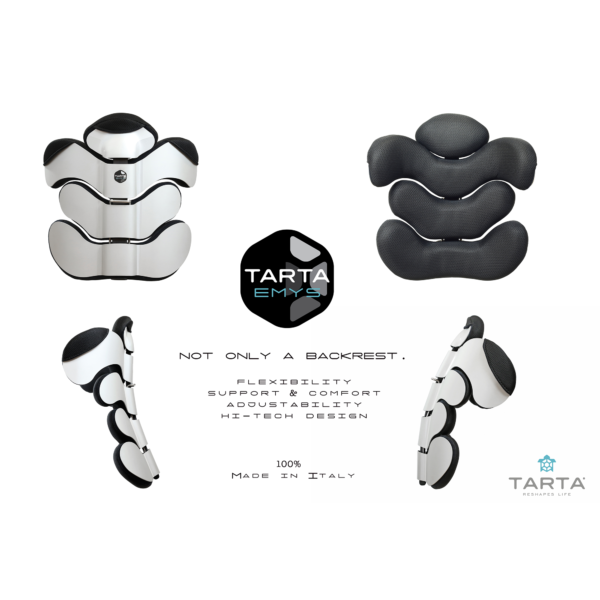 Tarta Design Emys Wheelchair Backrest Recare