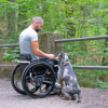 Forest Classic Loopwheels Wheelchair Suspension Wheels