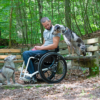 Gecko Pushrim Classic Loopwheels Wheelchair Suspension Wheels