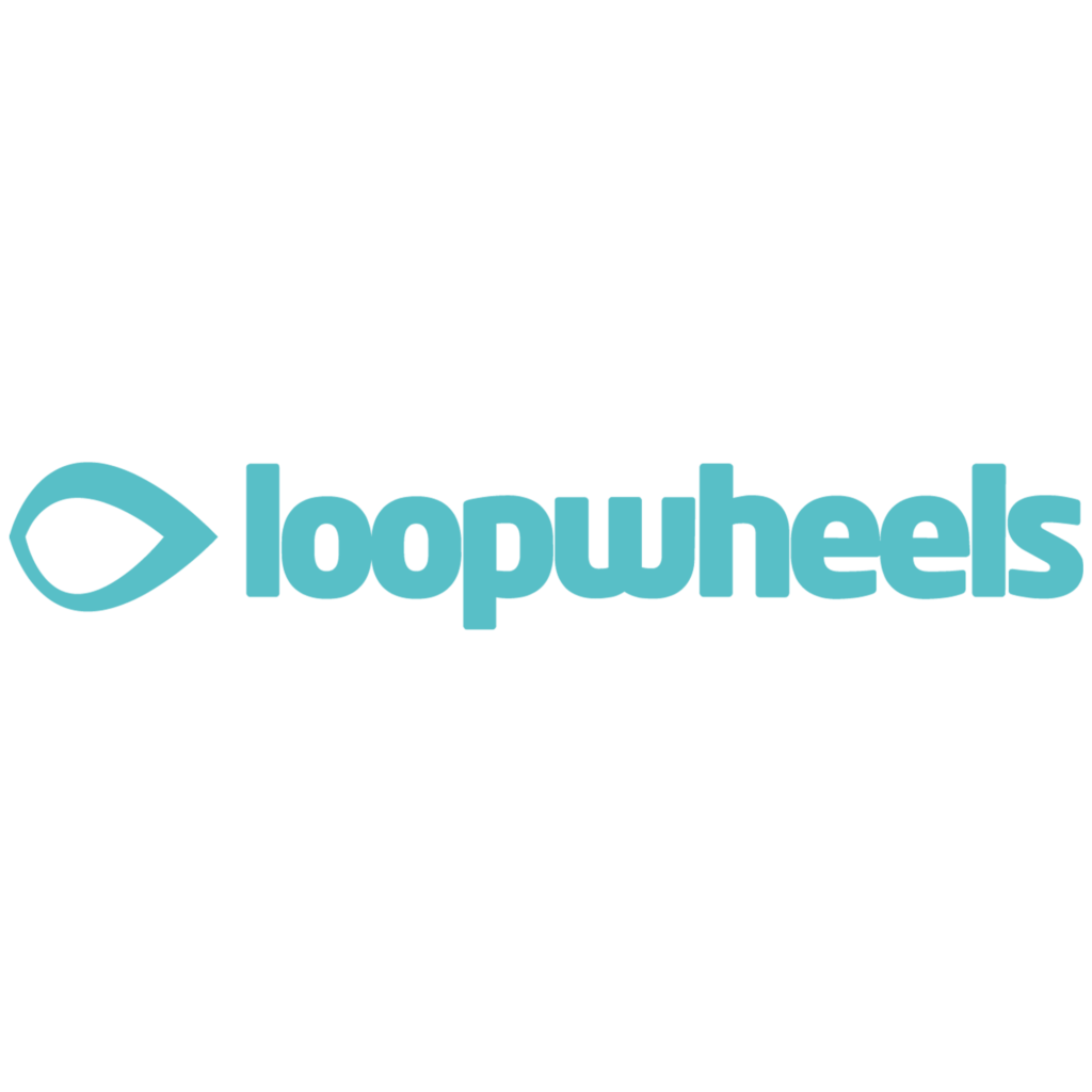Extreme Loopwheels Suspension Wheelchair Wheels - Recare